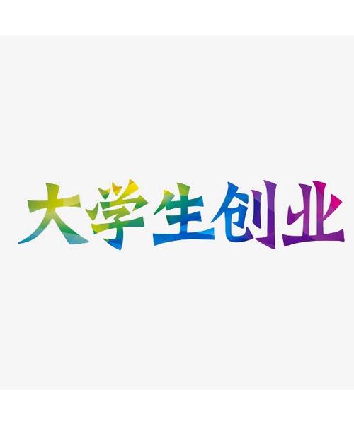 新项目创业