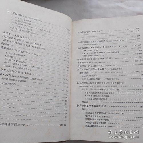 修正主义是什么意思