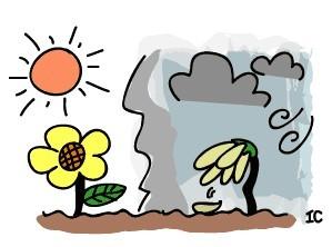 一曝十寒什么意思