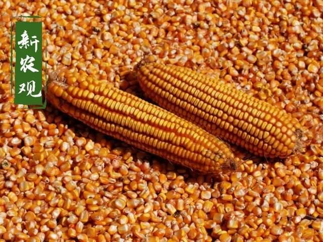 支棱是什么意思