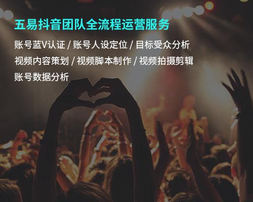 抖音网络营销方案