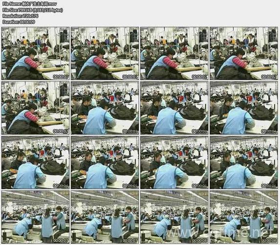 工厂内衣制造视频