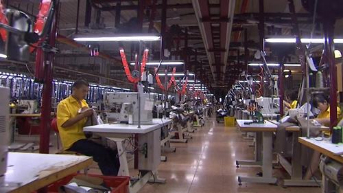 工厂内衣制造视频