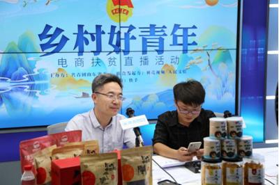 乡村电商扶贫(电商扶贫示范村)