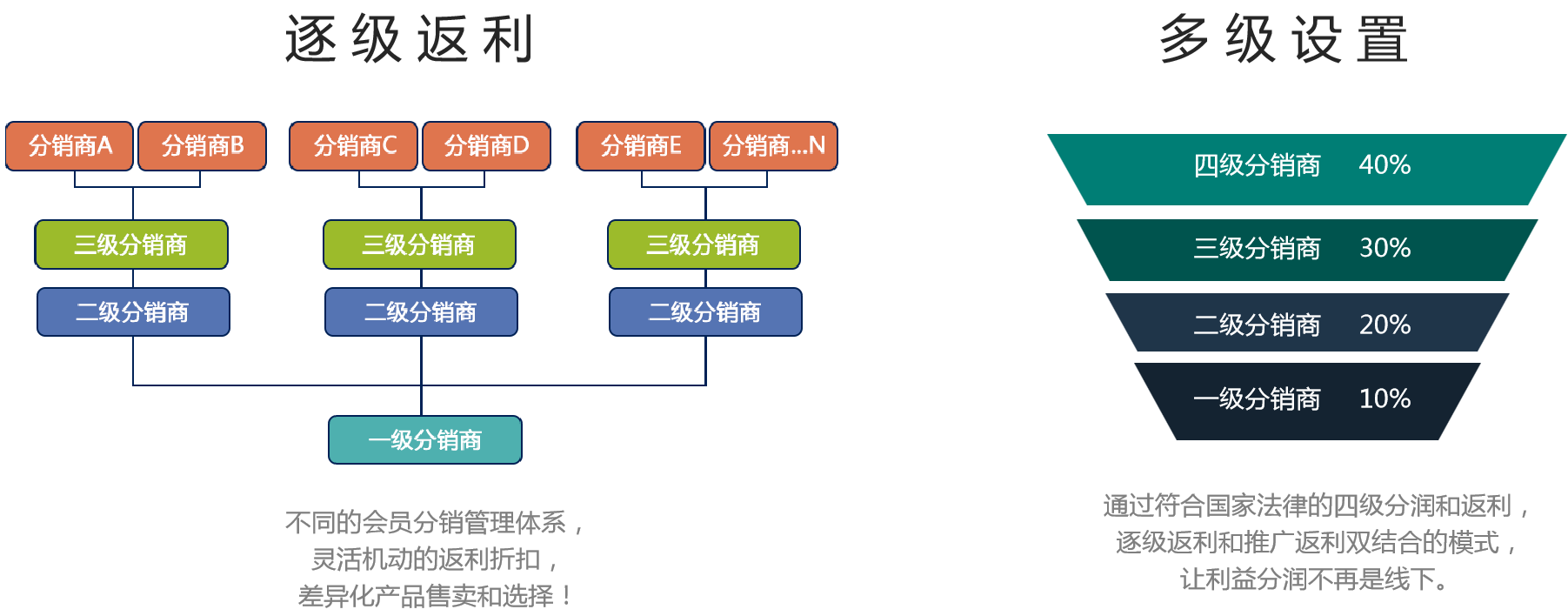 电商分销(电商分销软件) 电商分销(电商分销软件)