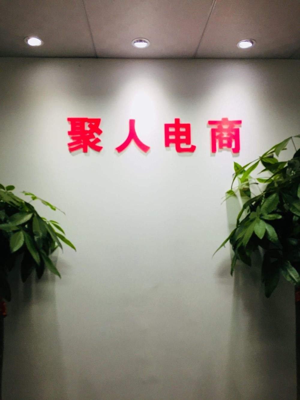 电商企业(电商企业营业执照怎么办理)