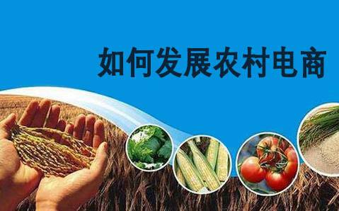 农村电商案例(成功的农村电商案例)