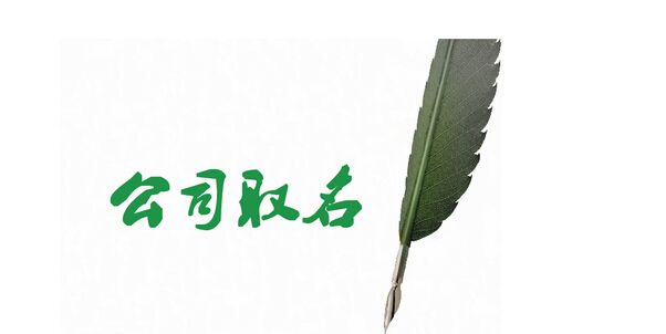 电商公司名称怎么起名(电商公司名称怎么起名,海南)