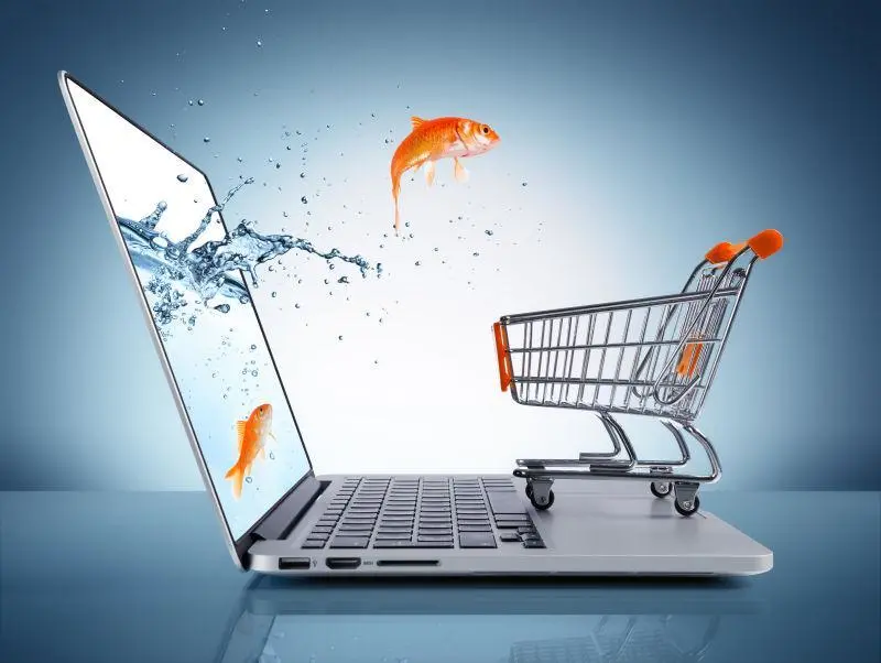 电商应该怎么做(想做电商怎么起步)