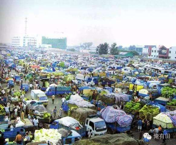 合川农产品电商批发城的简单介绍