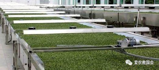 茶叶适合做跨境电商吗