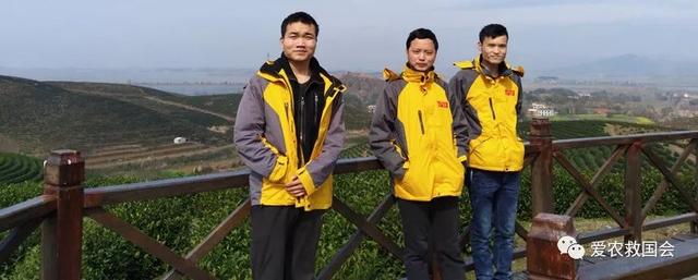 茶叶适合做跨境电商吗