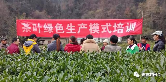 茶叶适合做跨境电商吗