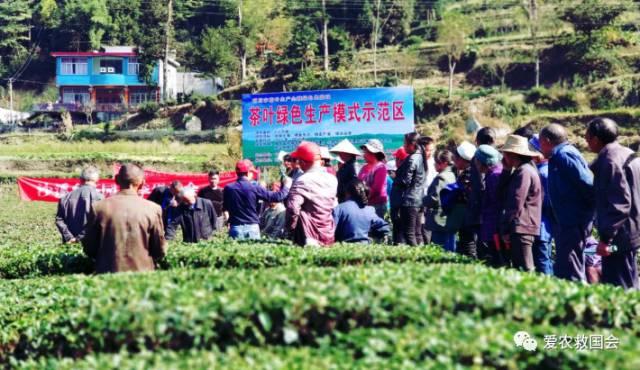 茶叶适合做跨境电商吗