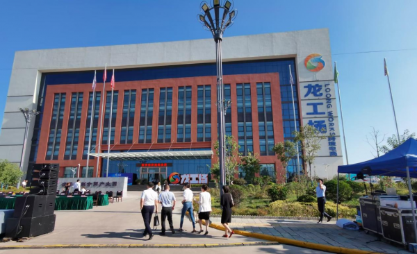 大龙网跨境电商(大龙网跨境电商产业园)