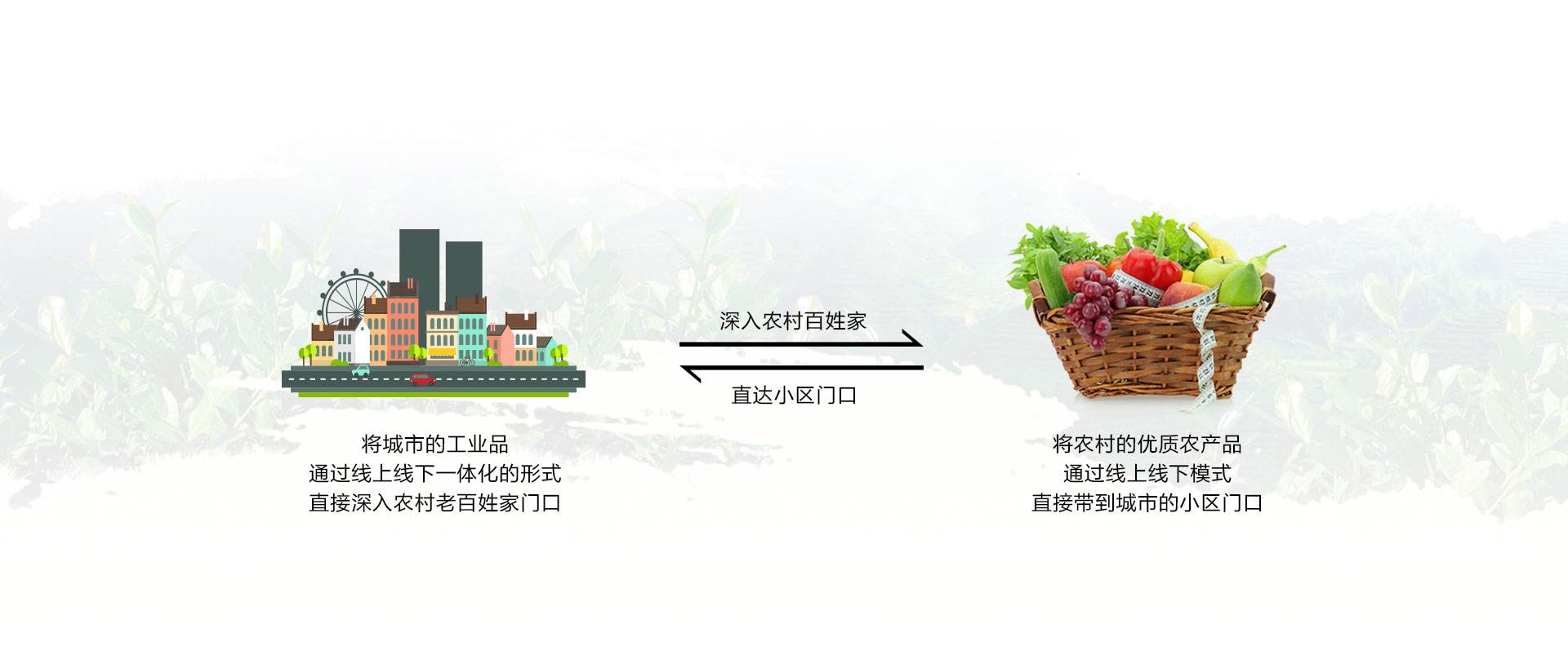 农村电商的特点(农村电商的特点有哪些) 农村电商的特点(农村电商的特点有哪些)