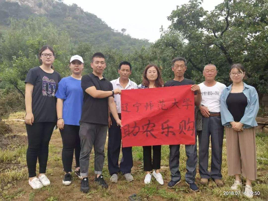 聊城泓泉电商倒了吗(聊城泓泉电子商务有限公司)