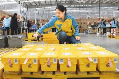 电商打包员(跨境电商打包员)