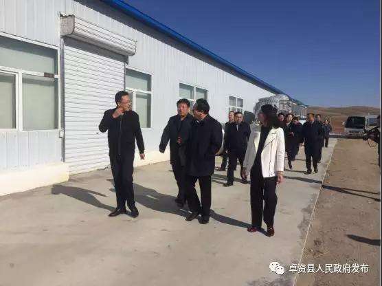 内蒙古远景电商怎么样(内蒙古远景电子商务有限公司)