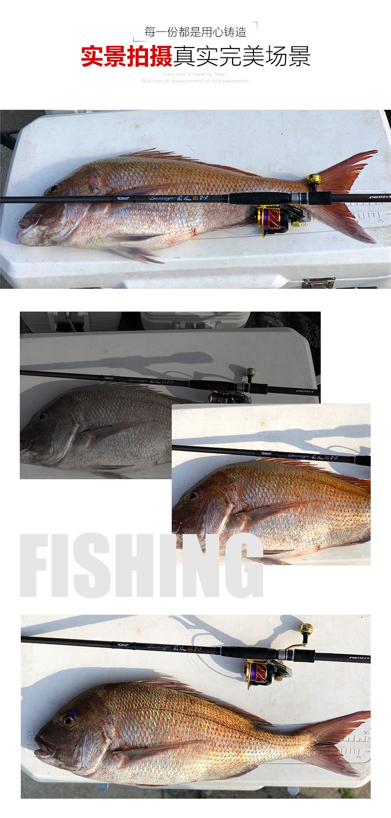 澳仕玛电商平台下载(澳洲电子产品网购网站)