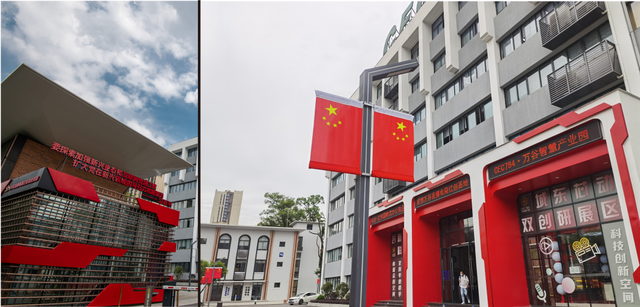 网红直播电商 网红直播电商