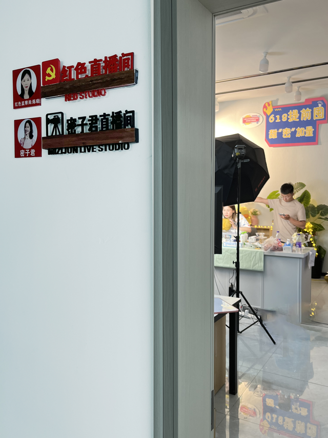 网红直播电商 网红直播电商