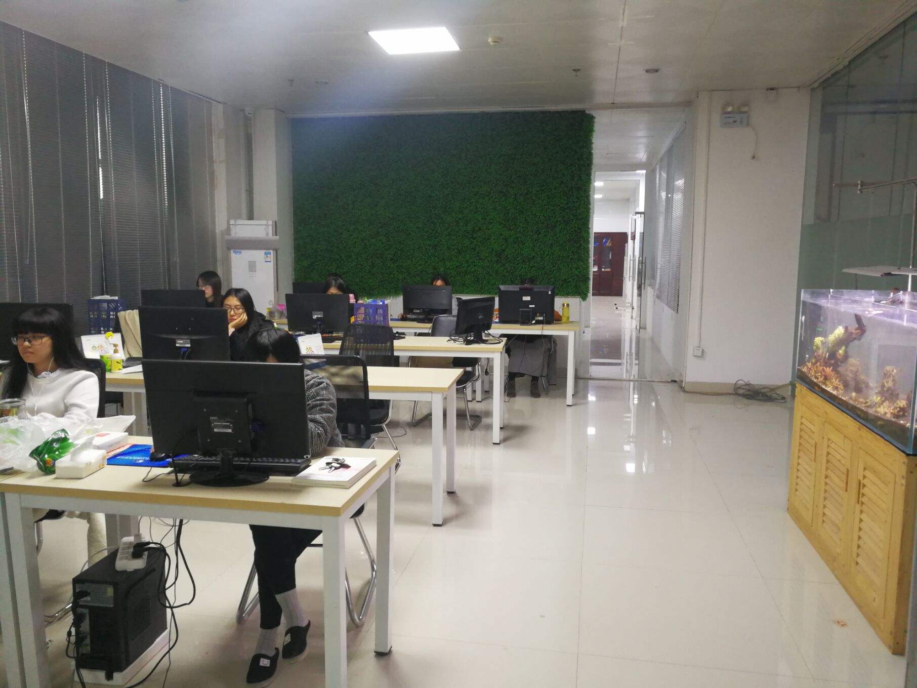 电商运营专员(母婴电商运营专员)