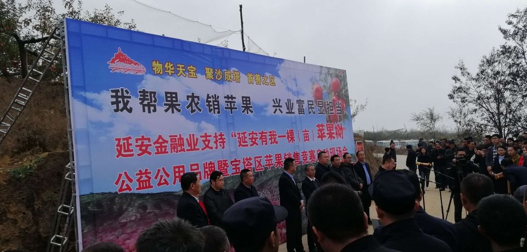 果农与电商怎么合作(果园怎么和电商合作卖水果) 果农与电商怎么合作(果园怎么和电商合作卖水果)