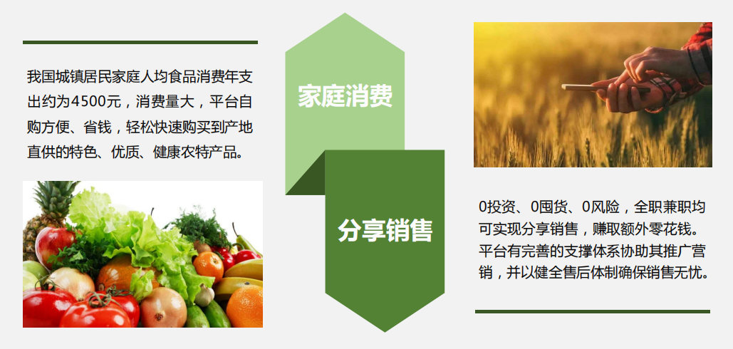 农产品电商平台(农产品电商平台排行榜前十名) 农产品电商平台(农产品电商平台排行榜前十名)