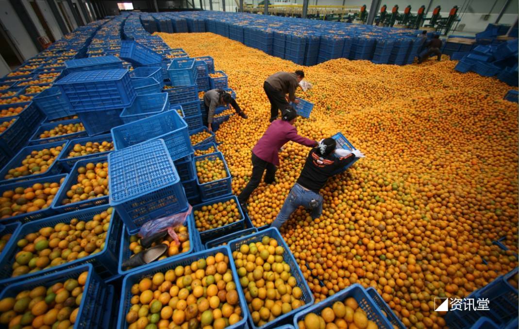 乡村电商(乡村电商政策)