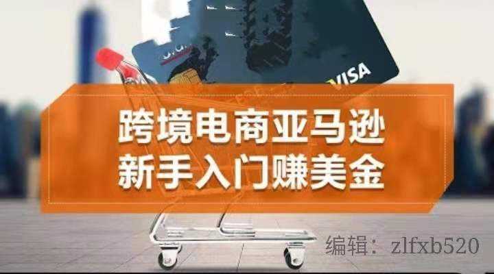 一个人如何做跨境电商(跨境电商可以一个人做吗)