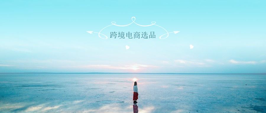 电商选品(电商选品工具软件)