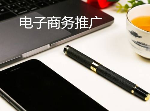 电商网站推广(电商网站推广策划方案模板)