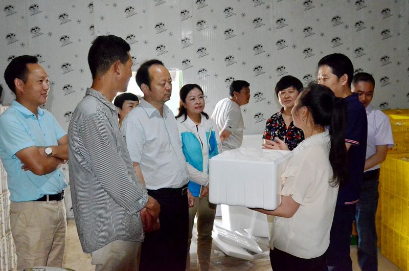 巴山万家电商平台(华润万家超市招聘信息)