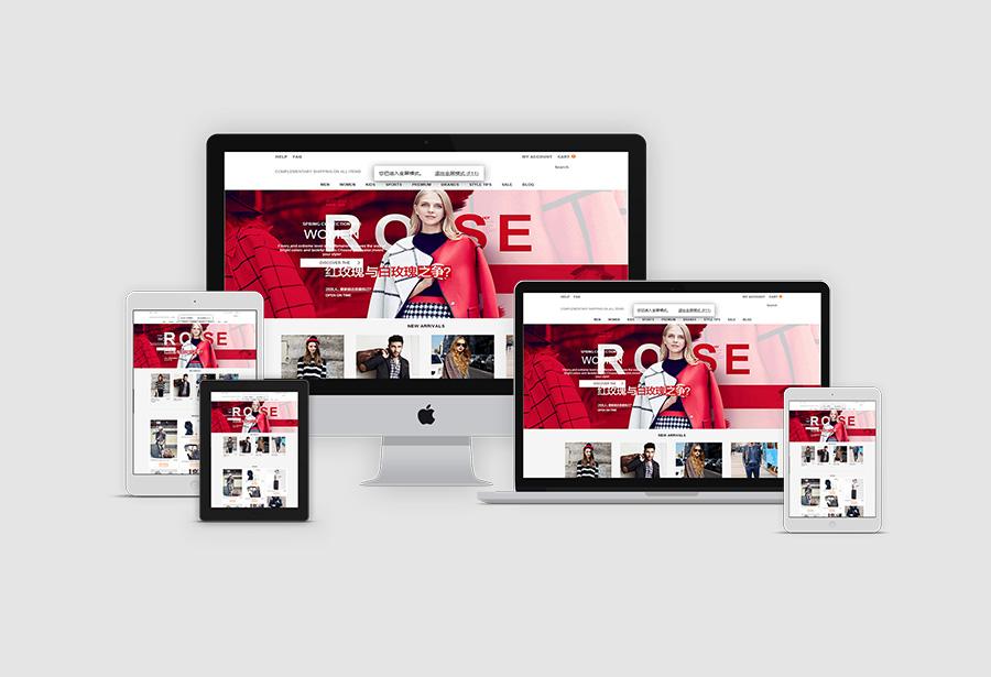 电商网站的设计(电商网站的设计600字)