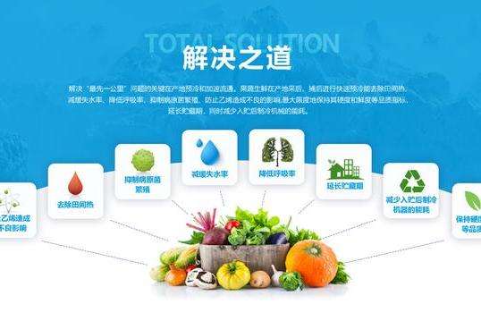 生鲜电商如何做(如何做好线上生鲜)