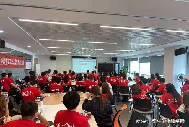 中南电商亏了吗(中南电商为什么不能交易了)