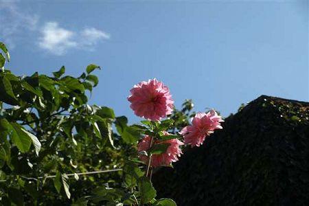 学电商哪个学校好