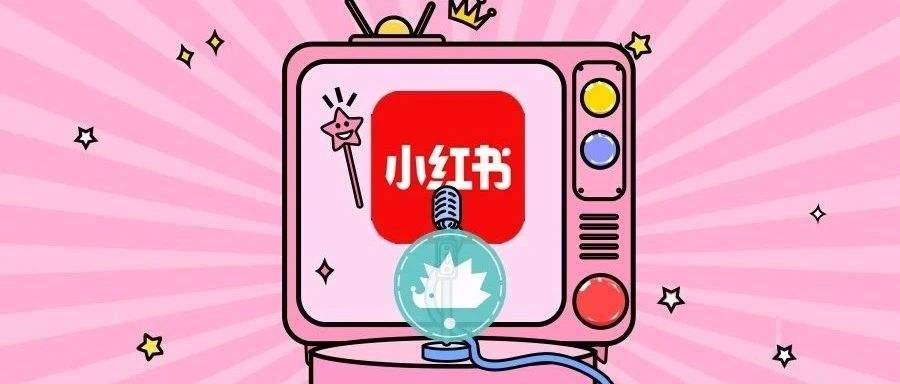 小红书电商(小红书电商平台的内容表现方式有哪些)