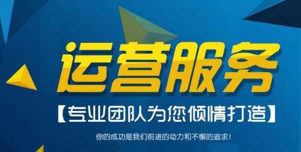 电商带运营公司(电商运营的公司有哪些)