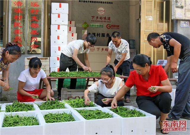 乡村振兴和电商(电商推动乡村振兴)