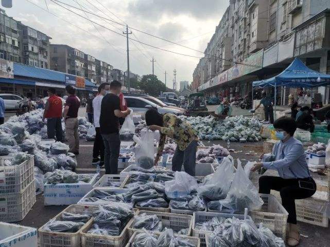 仪征万年鲜电商平台(仪征万年农副产品批发市场) 仪征万年鲜电商平台(仪征万年农副产品批发市场)