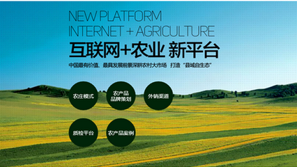 农村电商(农村电商创新创业项目计划书)