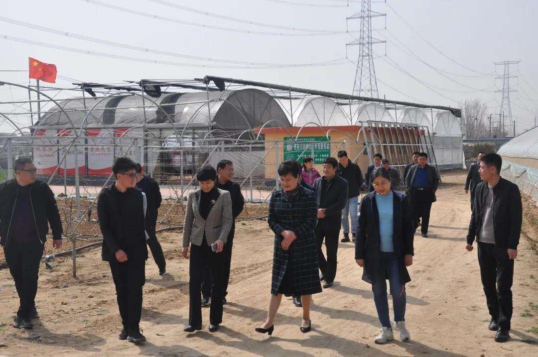 五莲电商(五莲七天公社) 五莲电商(五莲七天公社)