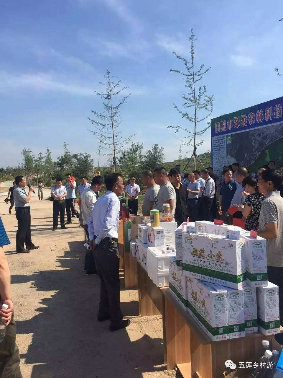 五莲电商(五莲七天公社) 五莲电商(五莲七天公社)