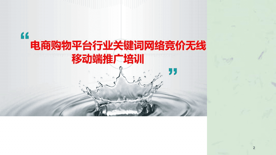 电商竞价(电商竞价需要拍卖牌照吗)