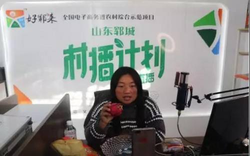 美淘村电商平台(淘美电子商务有限公司)