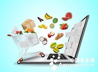 农业电商平台(农业电商平台对消费者的好处) 农业电商平台(农业电商平台对消费者的好处)