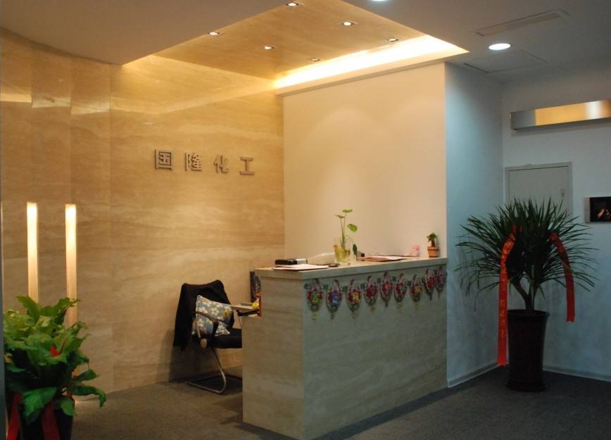 国隆电商公司简介(国隆电子商务有限公司)