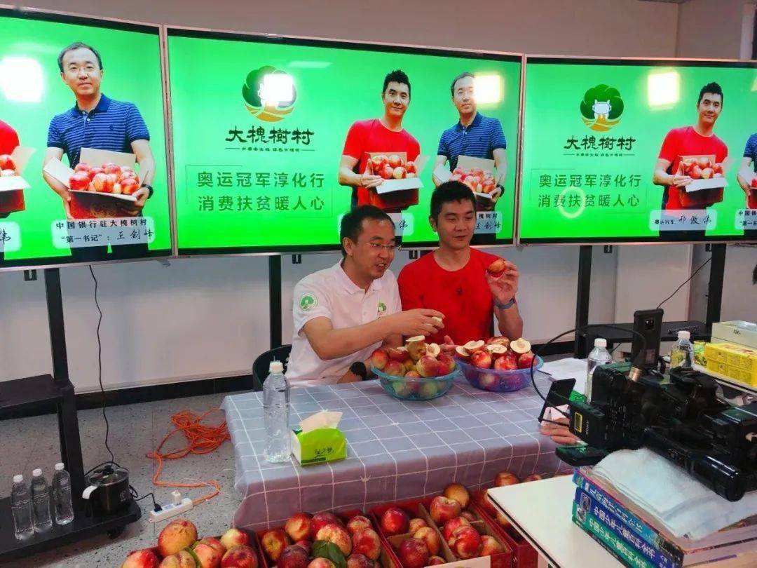 大槐树农村电商加盟(大槐树电子商务有限公司)